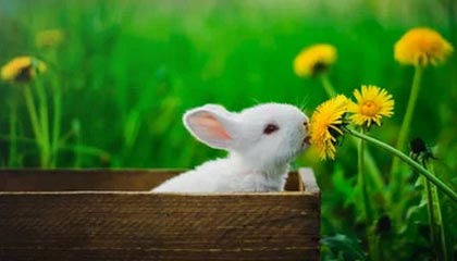 九游娱乐(jiuyou)官网-《电竞持续升温：城市体育公共设施加入电竞元素》，电竞纳入体育项目