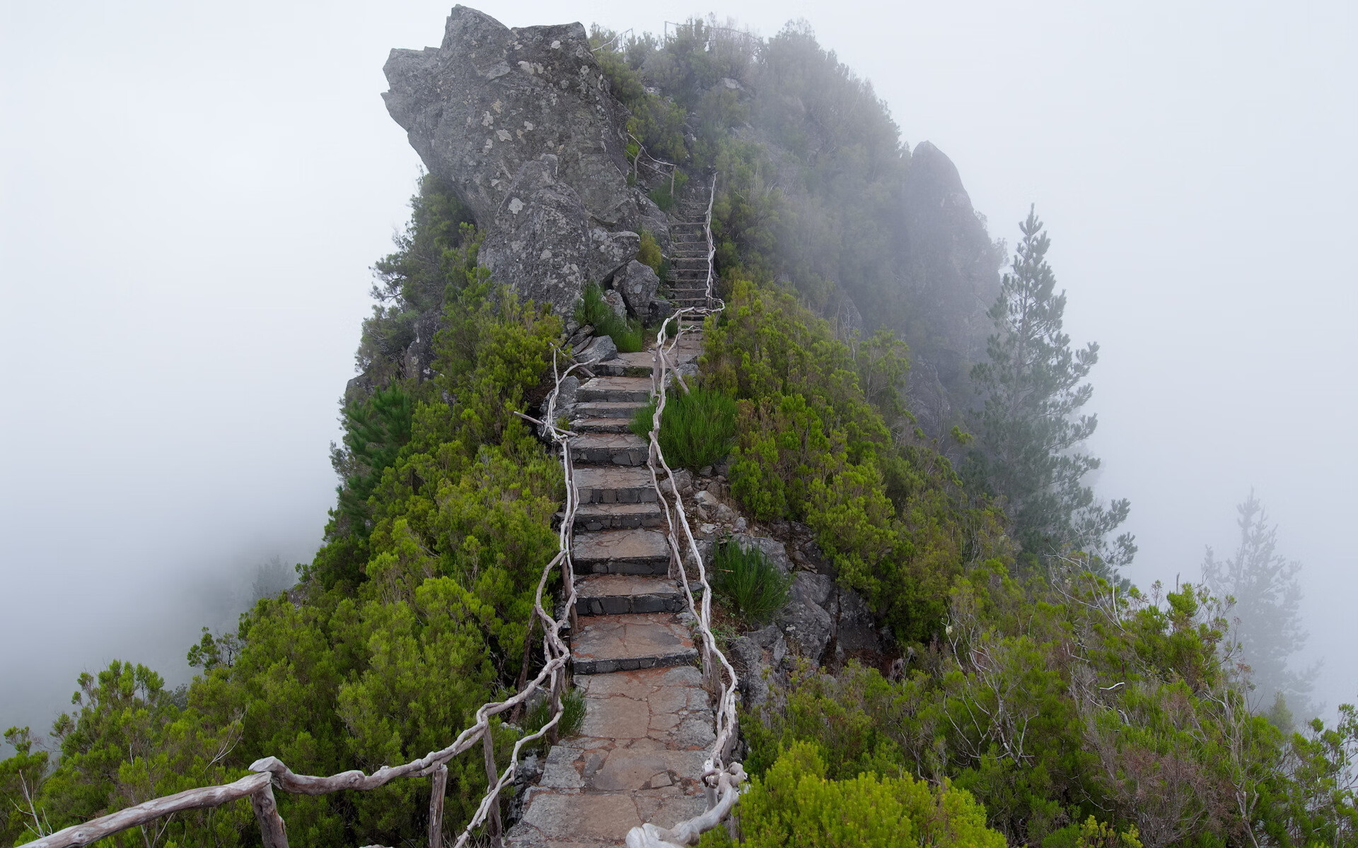 _荒漠越野骑行：在沙丘间追逐风影_，沙漠越野玩法