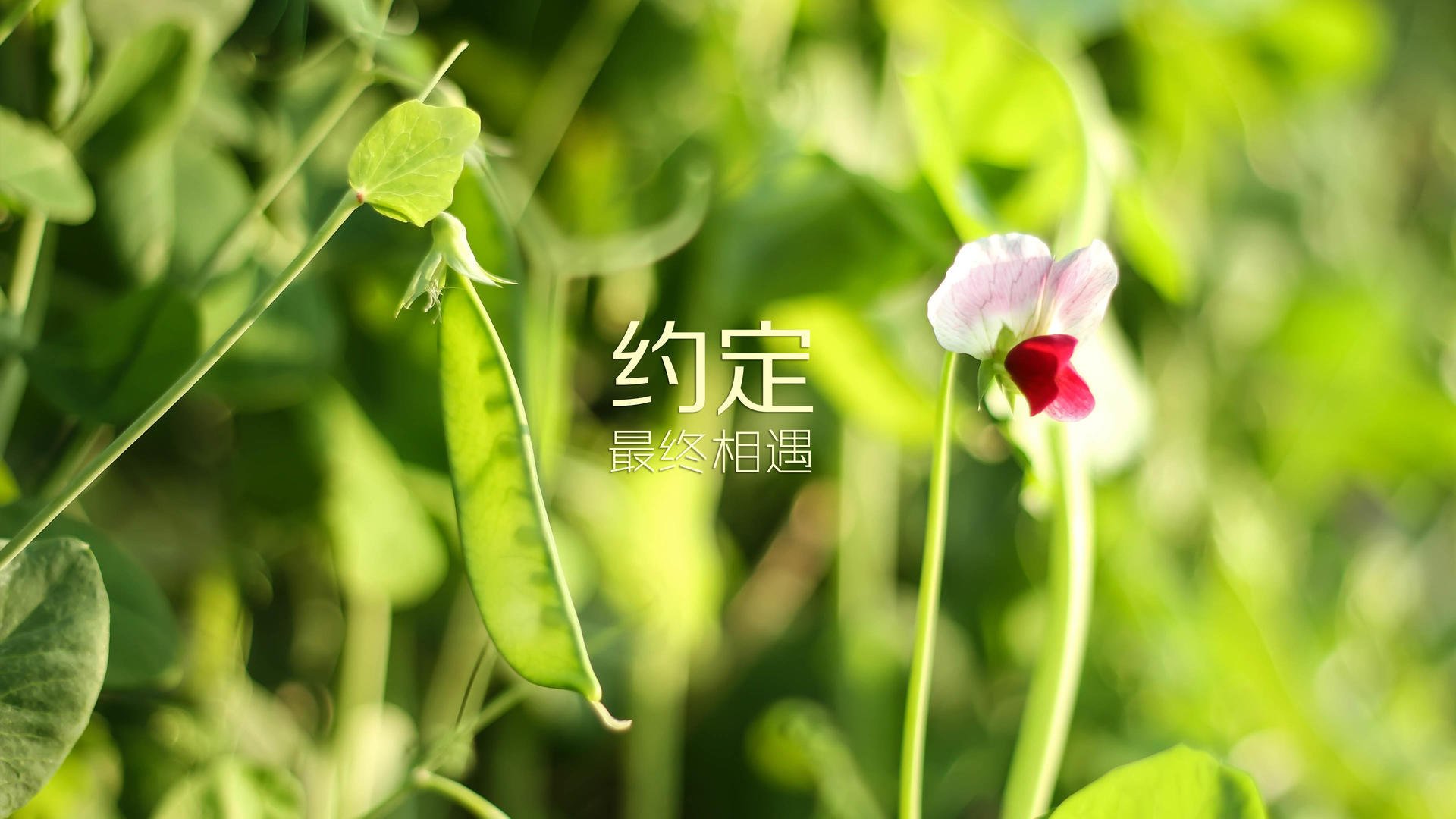 大型河流漂流极速赛，水流搏击的巅峰对决，漂流比赛视频