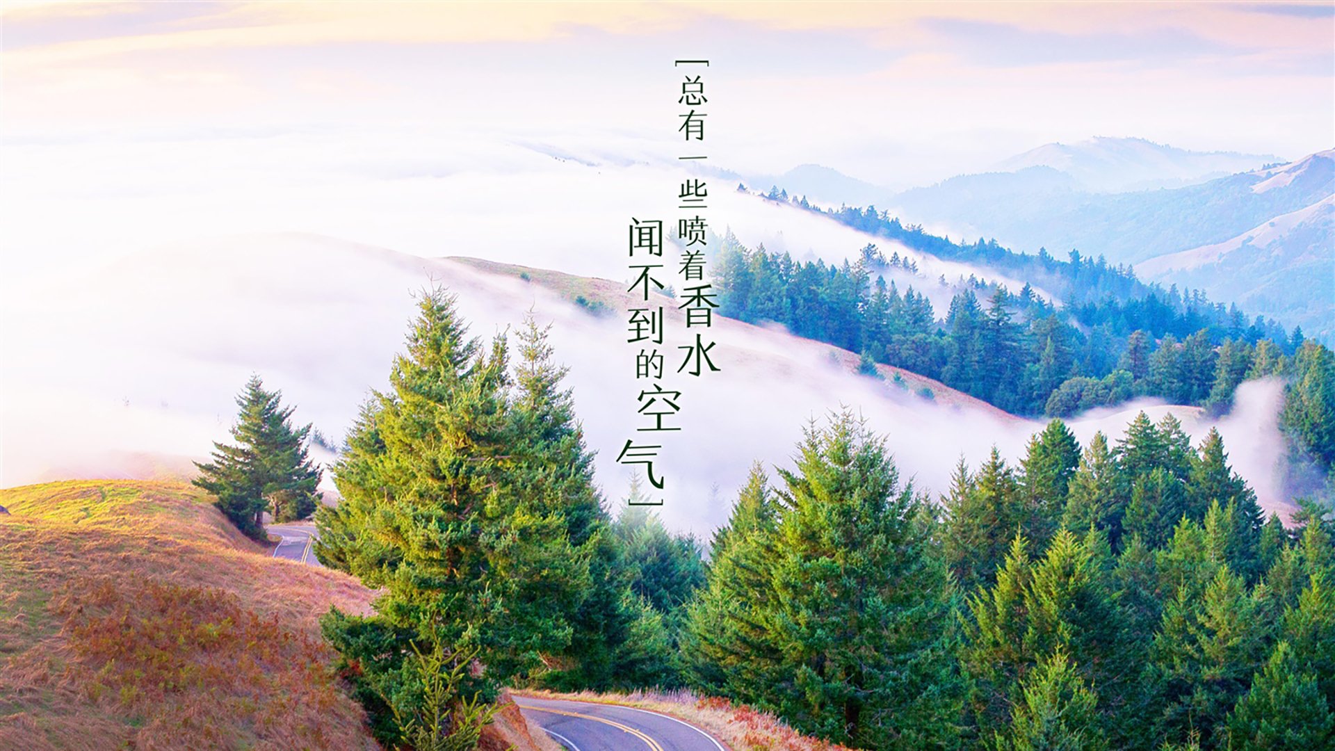 保加利亚大将闷平立陶宛，晋级形势一马当先，今天保加利亚和立陶宛预测