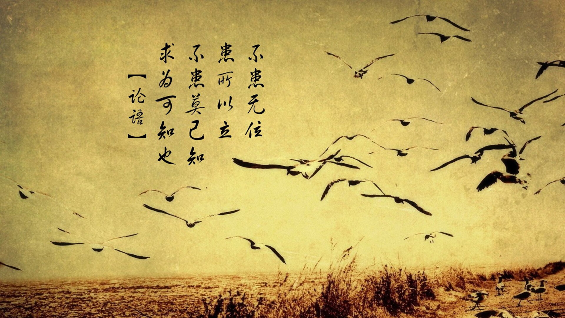 国字号球队比赛经验是否明显不足，国字号球队是什么意思