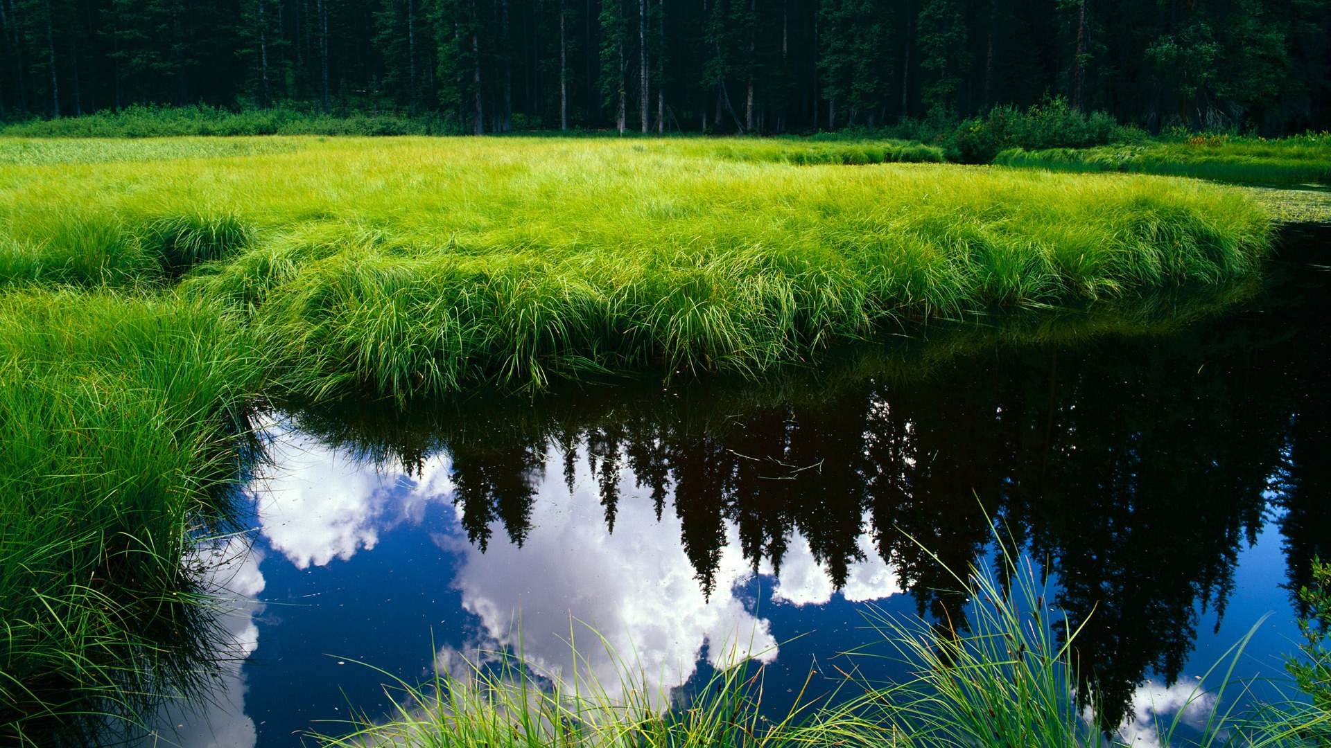 九游jiuyou-火爆场面中球队实力尽显，角逐激烈异常