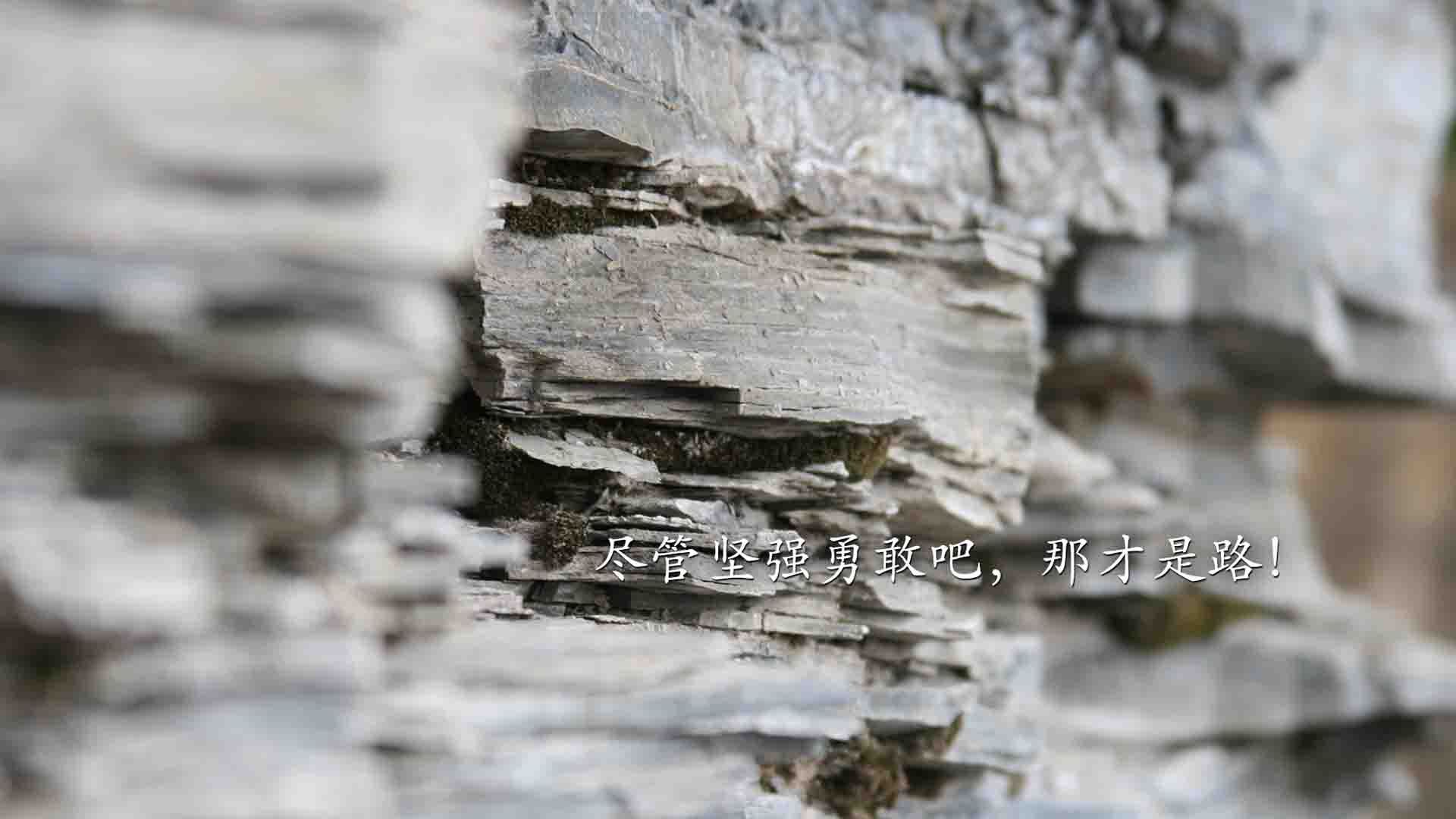 火箭主场击败黄蜂，取得连胜势头，火箭对黄蜂录像回放