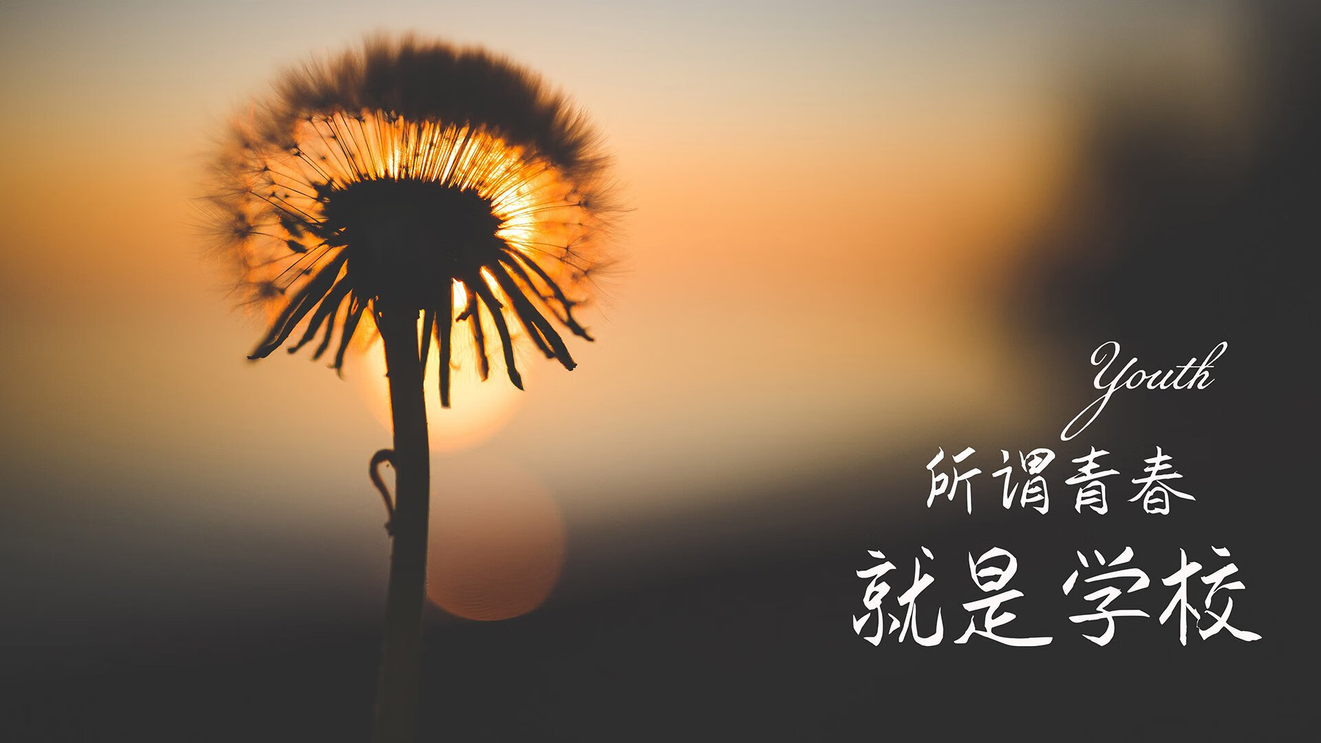 萨卡在对阵曼城的比赛中打入关键进球，萨拉曼卡足球