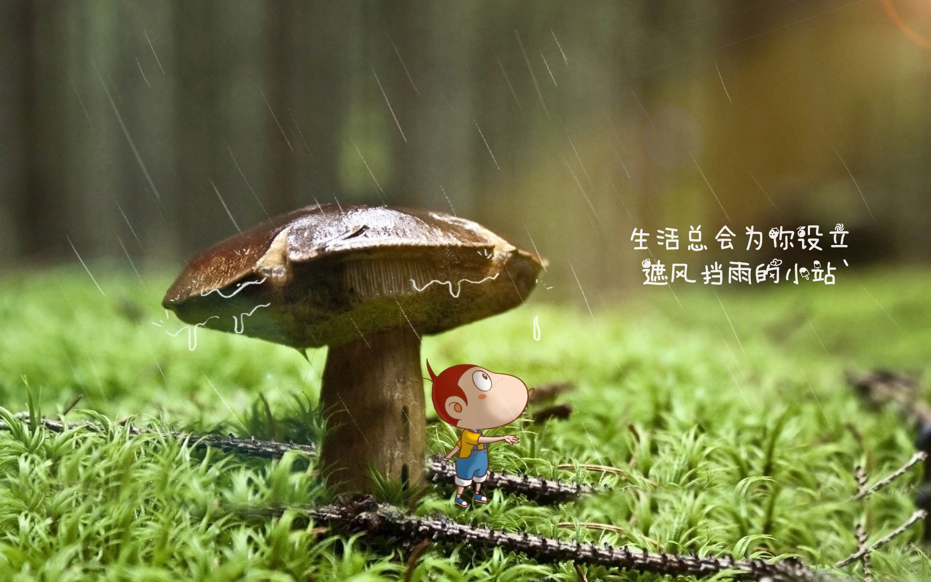 金队外线高效投篮，全场发挥稳定，金队外线高效投篮,全场发挥稳定作用