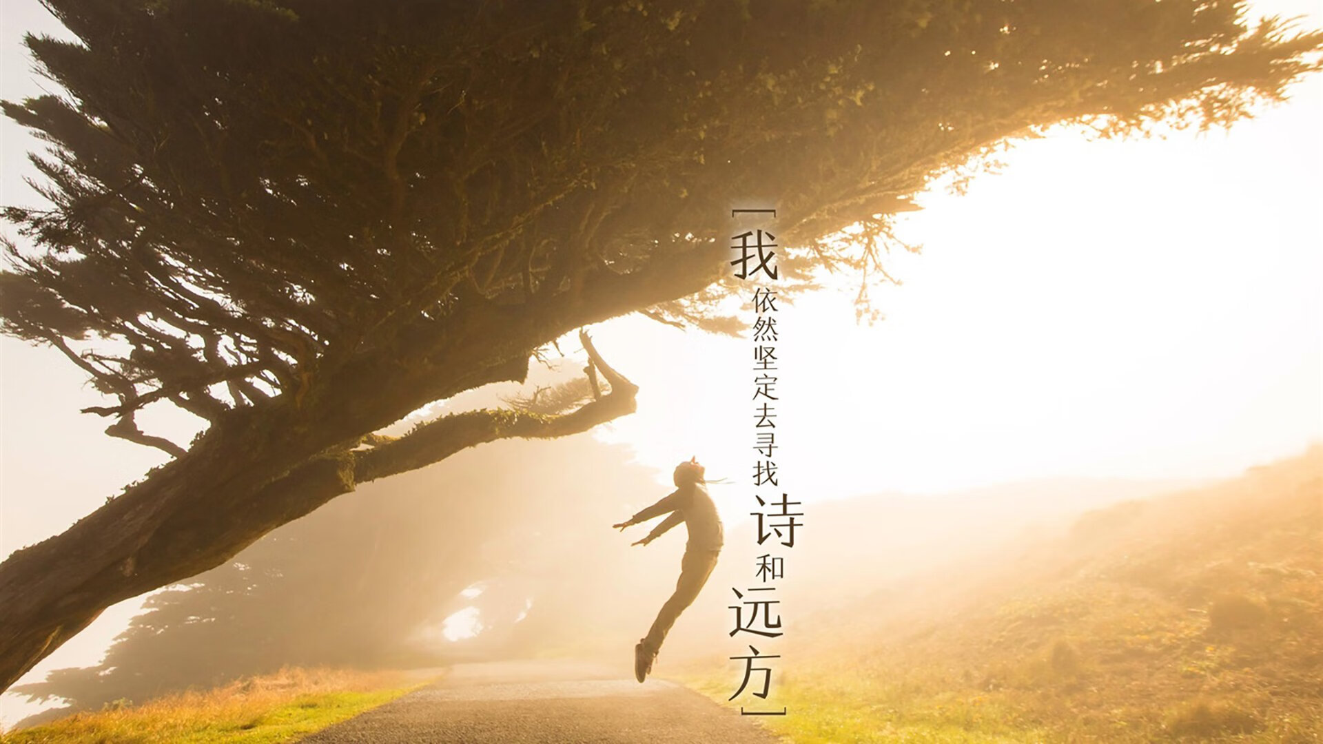 中超球队赛事状态波动预测模型，中超联赛分析
