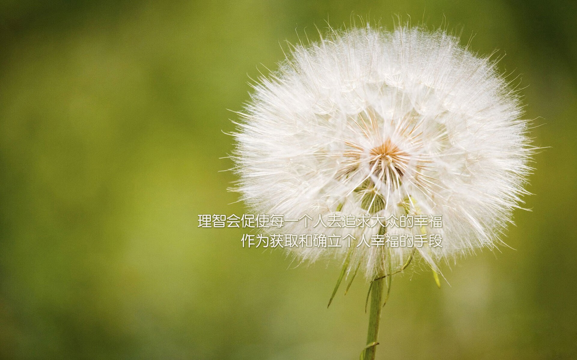 中国香港乒乓球未来展望：如何通过科学训练提升球员个体水平，香港乒乓球强吗