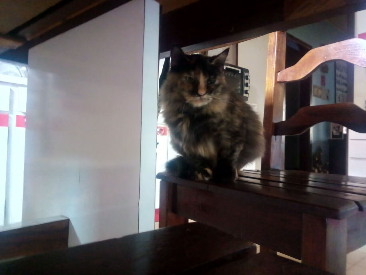 中国足球职业联赛裁判执法标准严格执行,中国足球协会裁判员管理系统