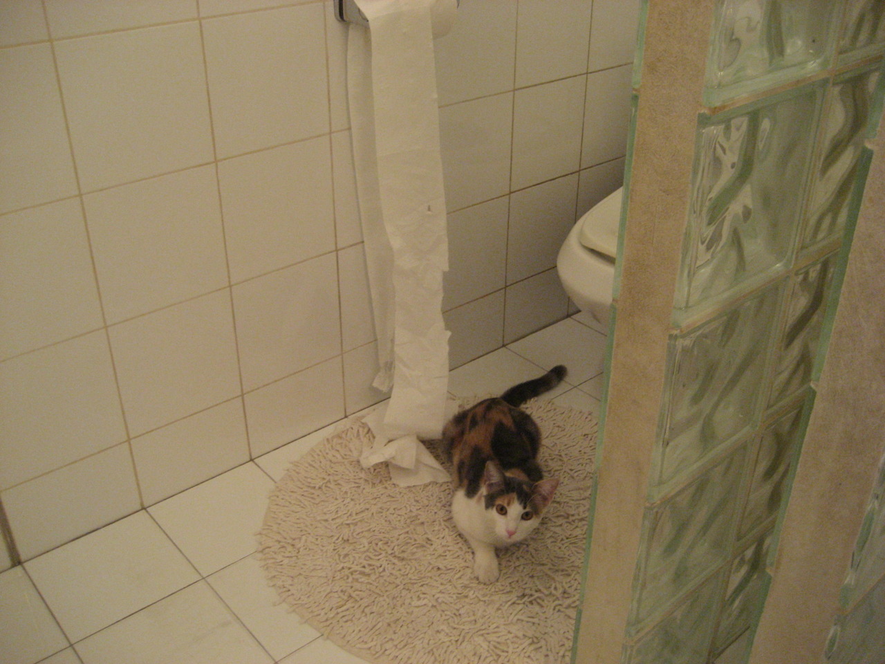 中立代表队B队员默契配合助力冲线