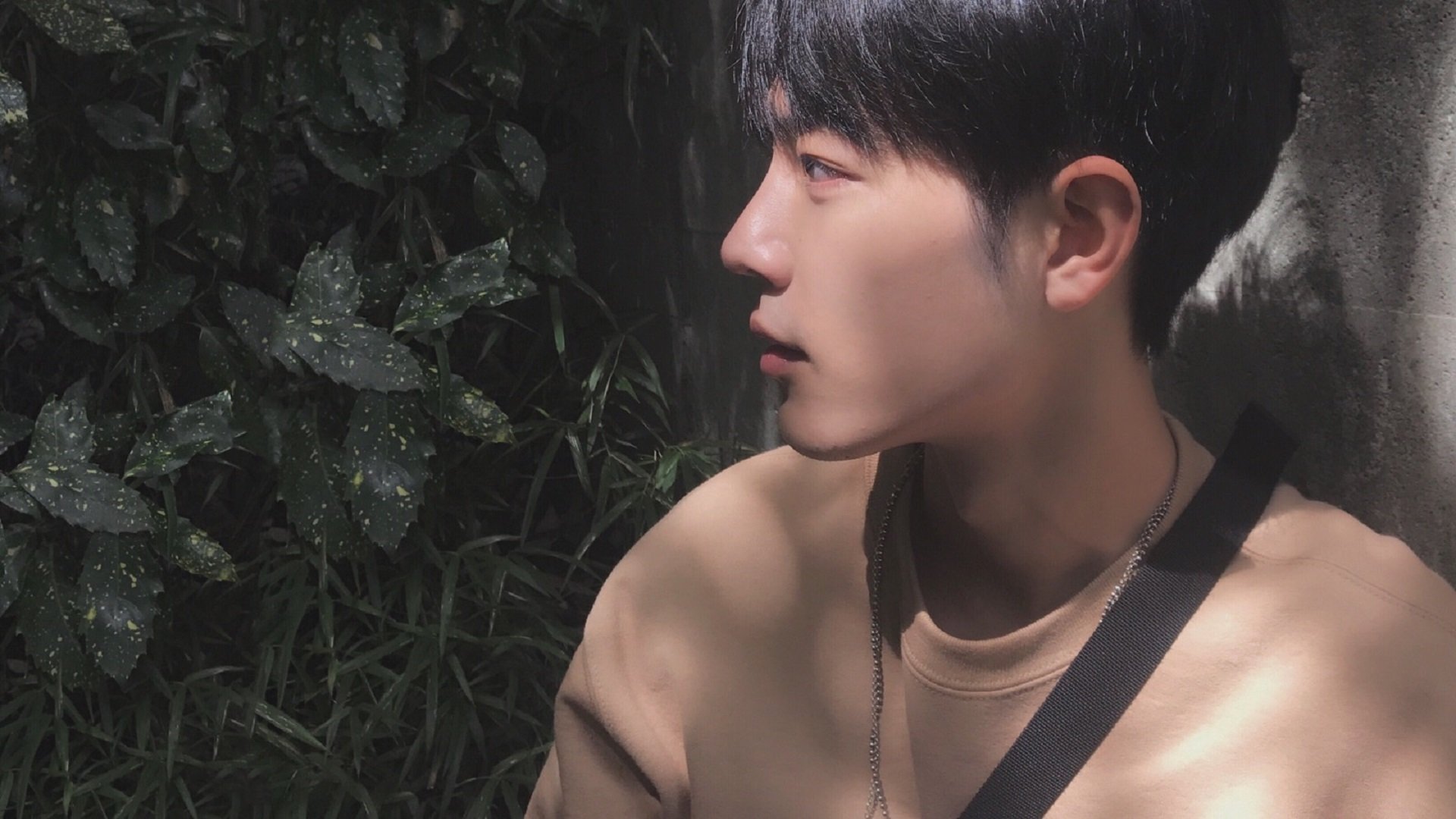 克罗地亚男篮在欧洲预选赛中表现出色,提前晋级