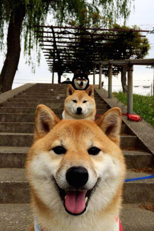 九游娱乐APP-基：他用扎实的防守功底帮助全黑队从容应对对手的强攻，基lof