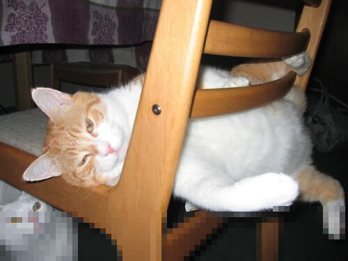 老鹰场均抢断次数联盟领先防守压力大，老鹰队单场队史得分纪录